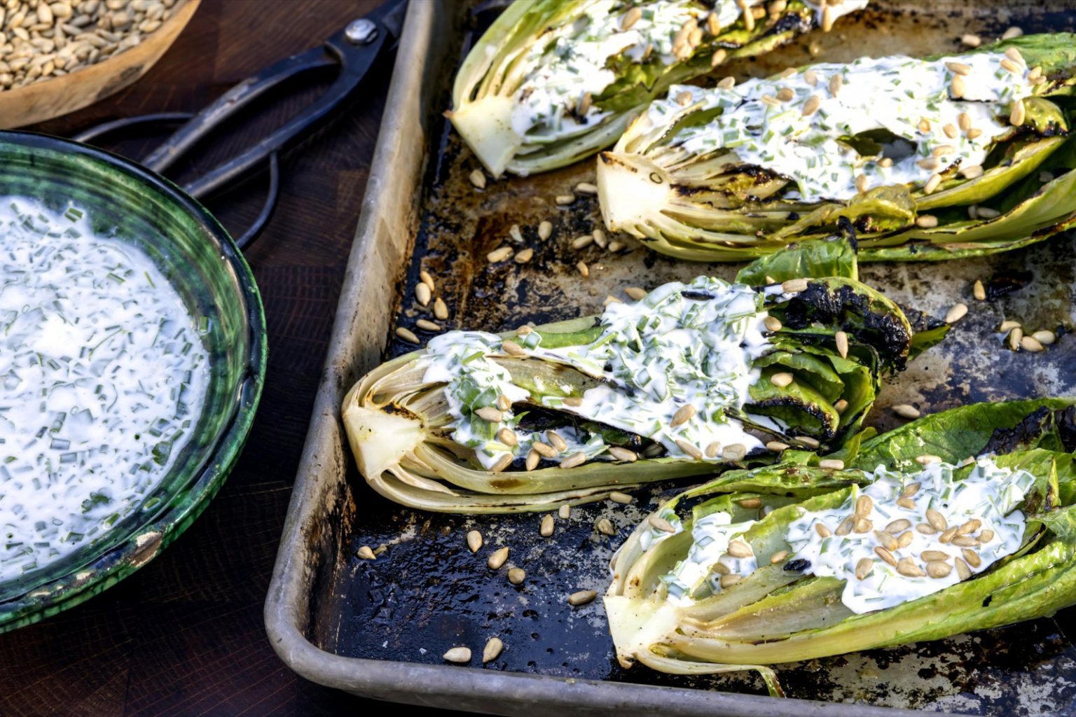 Grillad sallad med örtsås